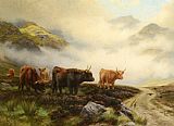 Wright Barker Highland Cattle in a Pass